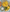 Petits Citrons Confits