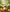 Confiture Orange