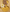 Huile D'Argan Oud