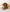 Cumin Grains