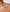 Huile D'Argan Musc Blanc