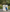 Formule Ballonnement 30 Gélules