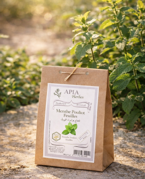 Menthe Pouliot Feuilles